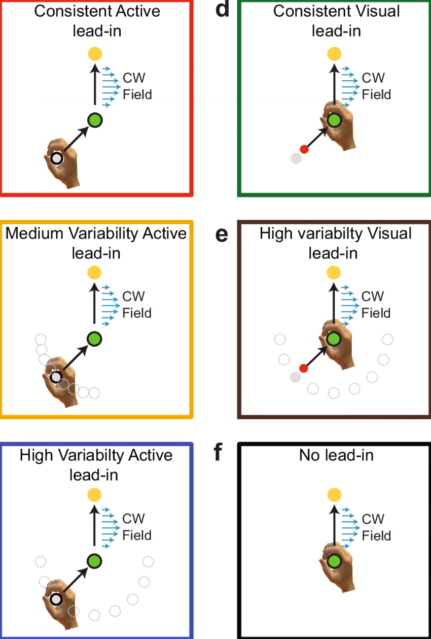 Visual Lead In Consistency Experiment