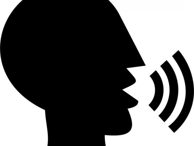 Voice Announcement Icon