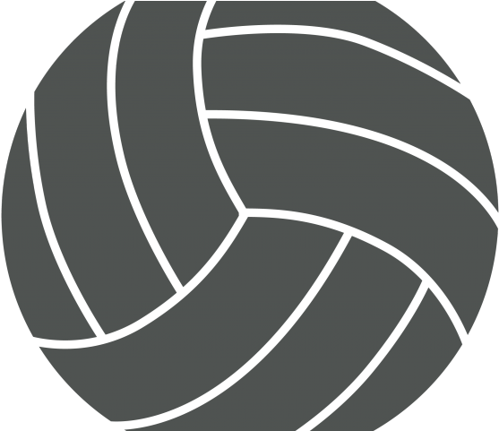 Volleyball Logo Graphic