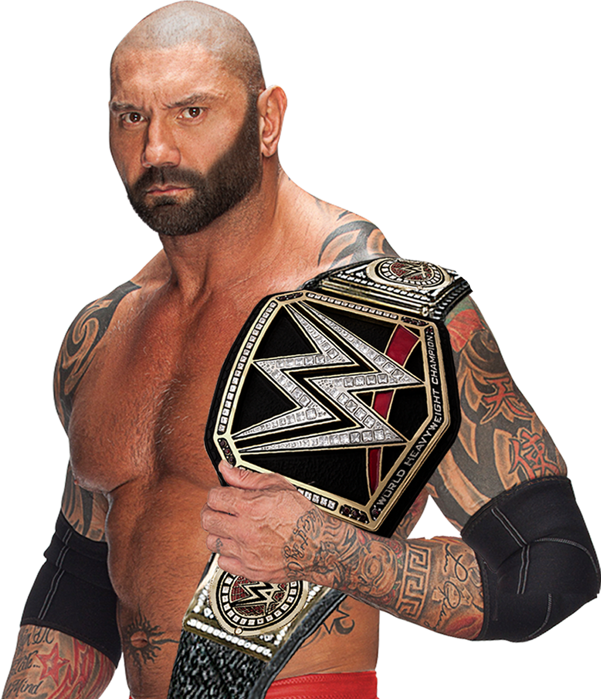 W W E Champion With Title Belt