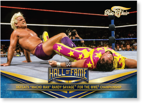 W W E Hallof Fame Match Victory