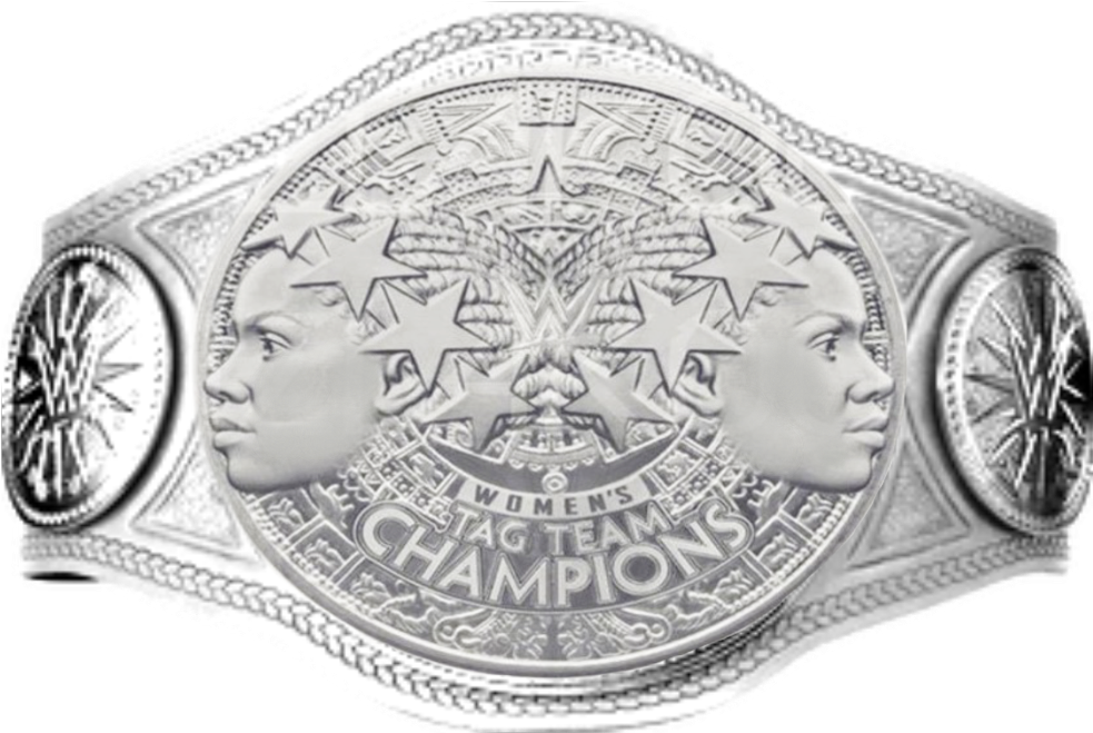 W W E Womens Tag Team Championship Belt