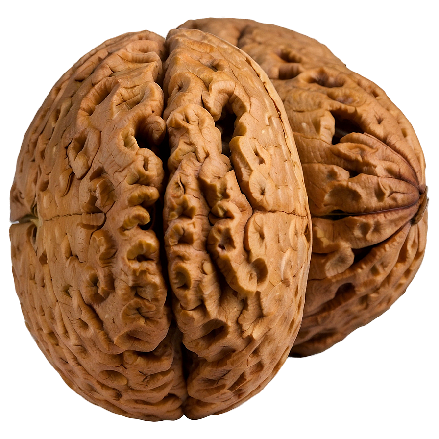 Walnut C