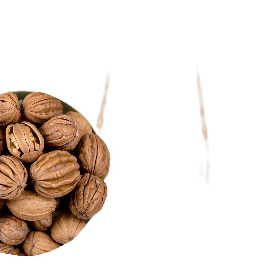 Walnut Gift Png 06122024