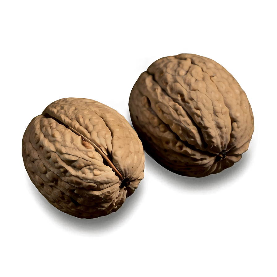 Walnut Harvest Png 25