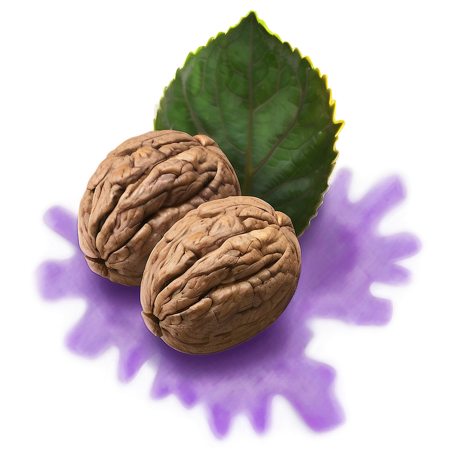 Walnut Illustration Png Hac61