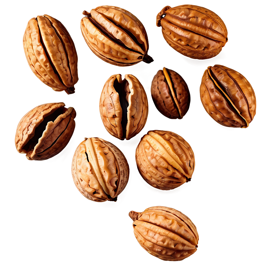 Walnut In Shell Png Lxs4