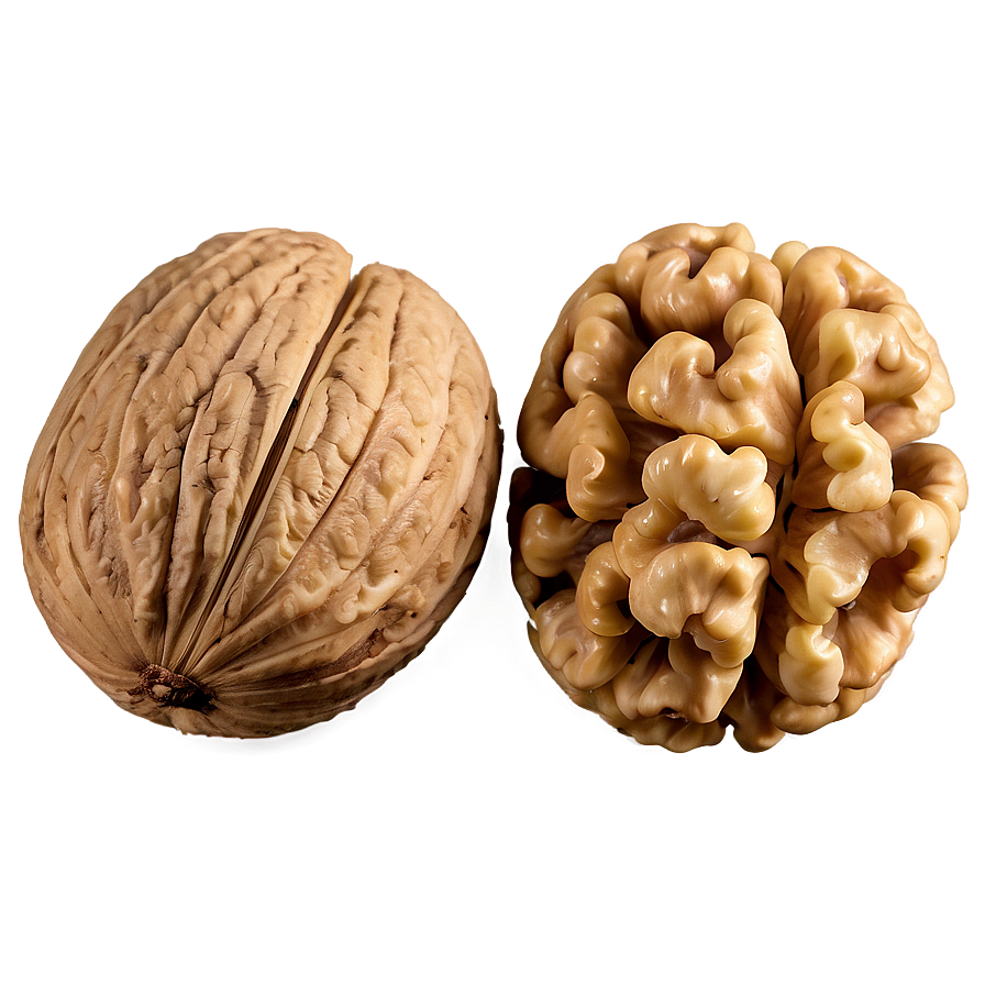 Walnut Kernel Png 06122024