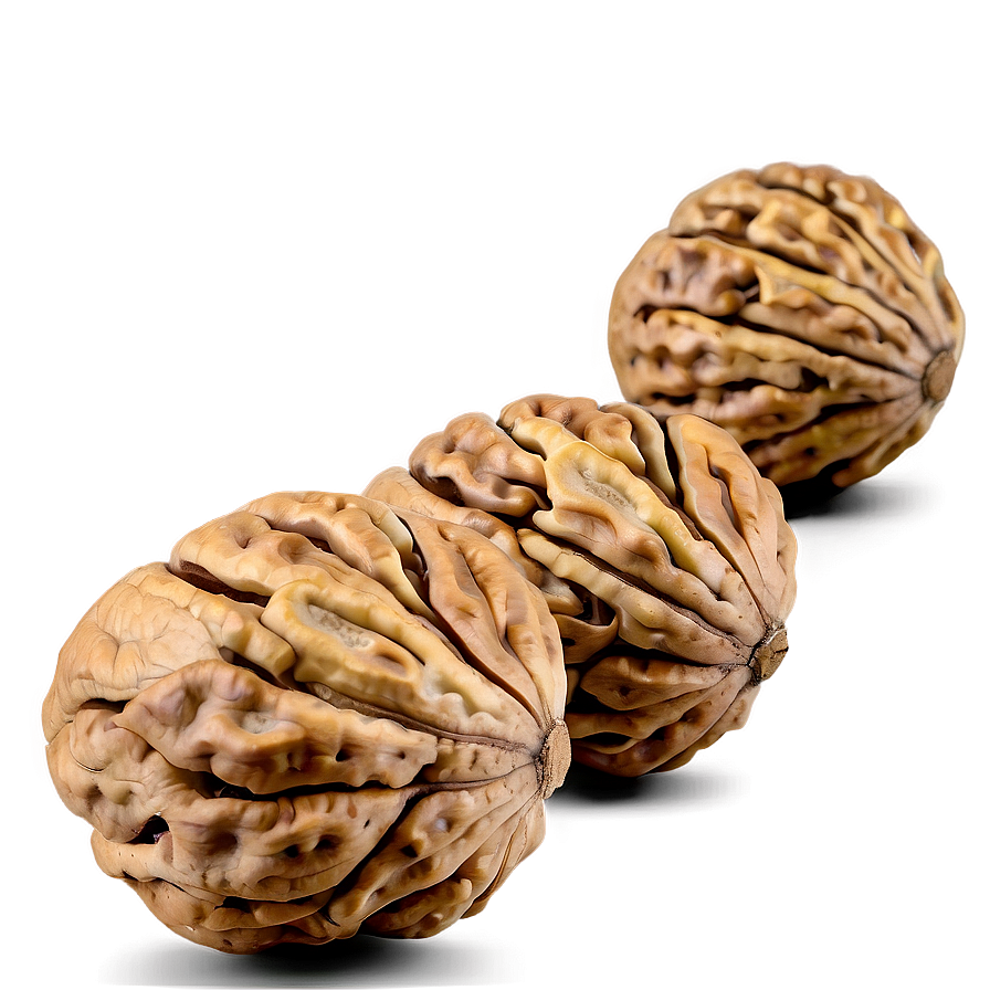 Walnut On White Background Png Hlo71