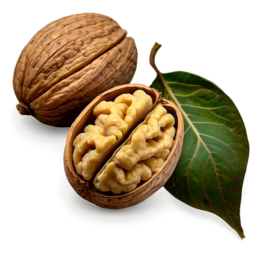 Walnut Pattern Png Jgb51