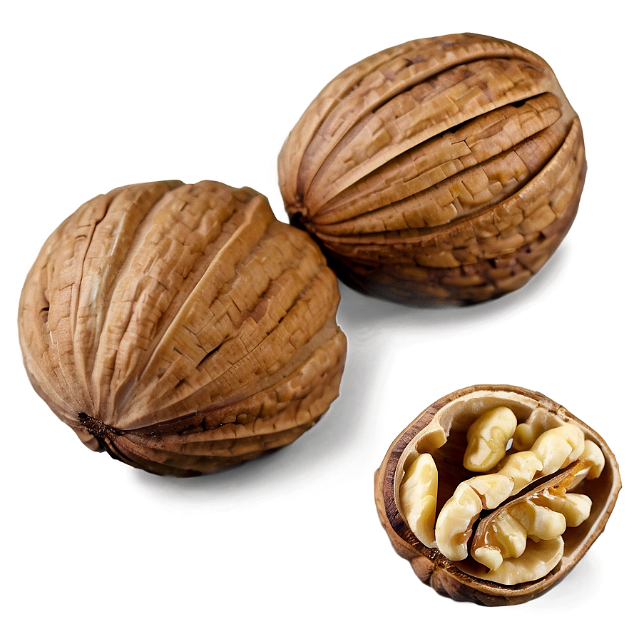 Walnut Piece Png 9