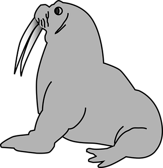 Walrus Vector Illustration