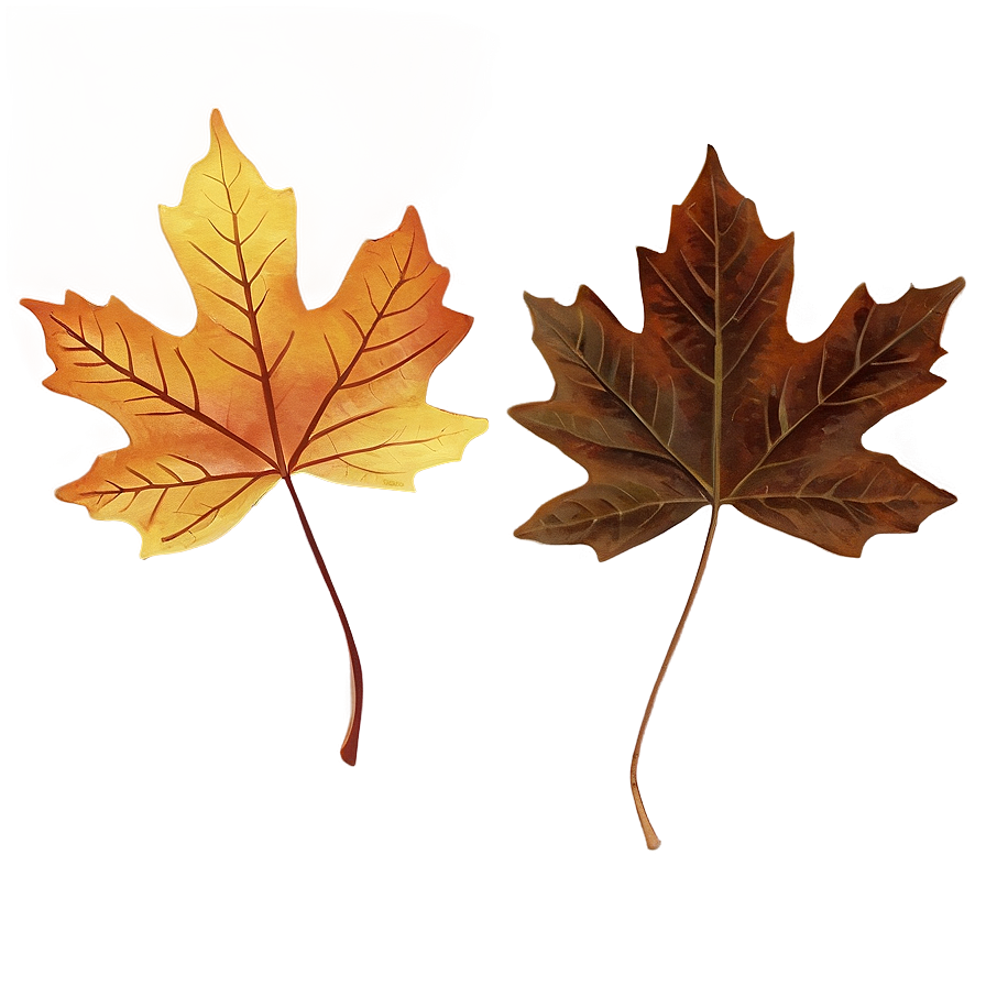 Warm Brown Autumn Leaves Png Shl38