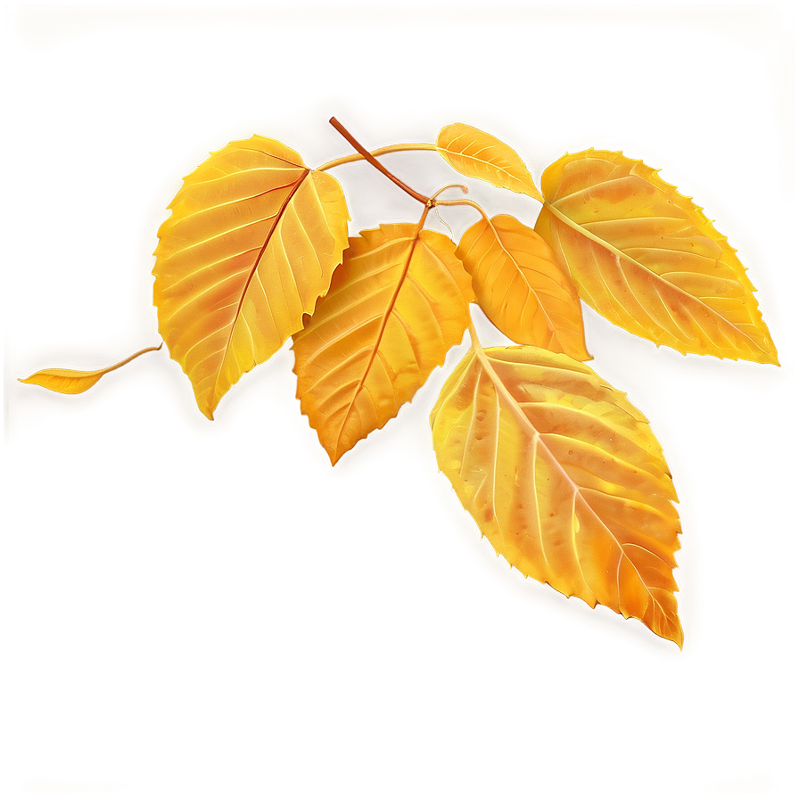 Warm Yellow Autumn Leaves Png Gdq33