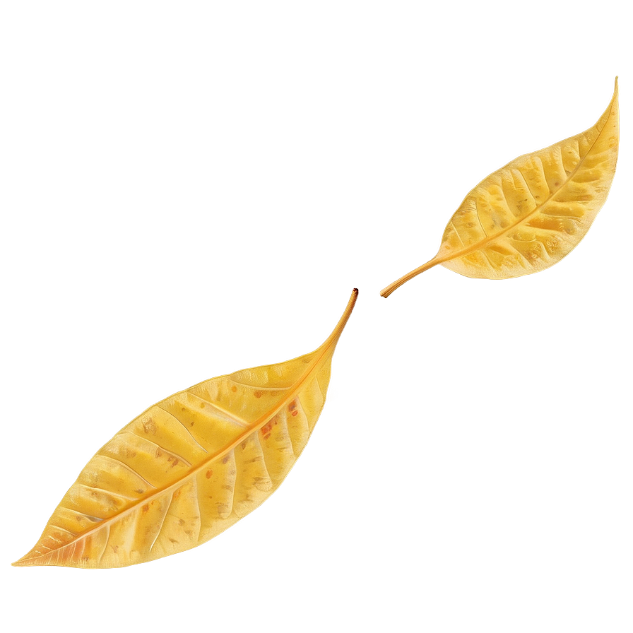 Warm Yellow Autumn Leaves Png Gpg3