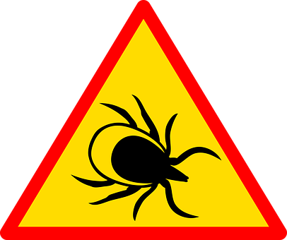 Warning Sign Black Spider Triangle