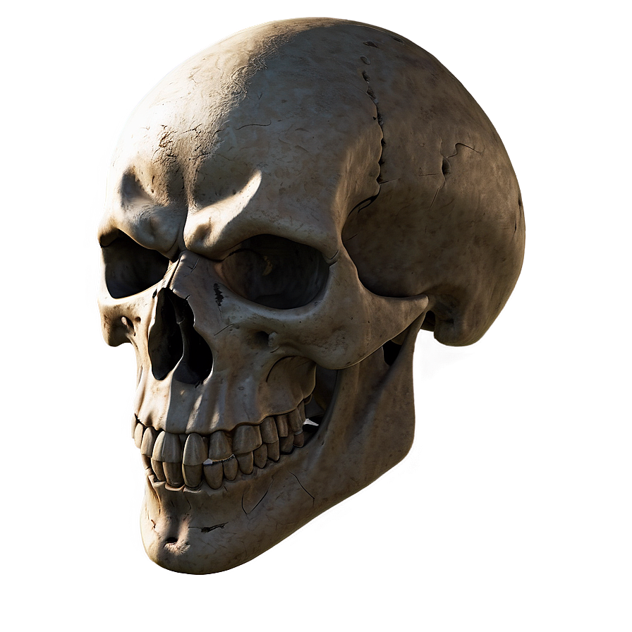 Warrior Skull Face Portrait Png Arp