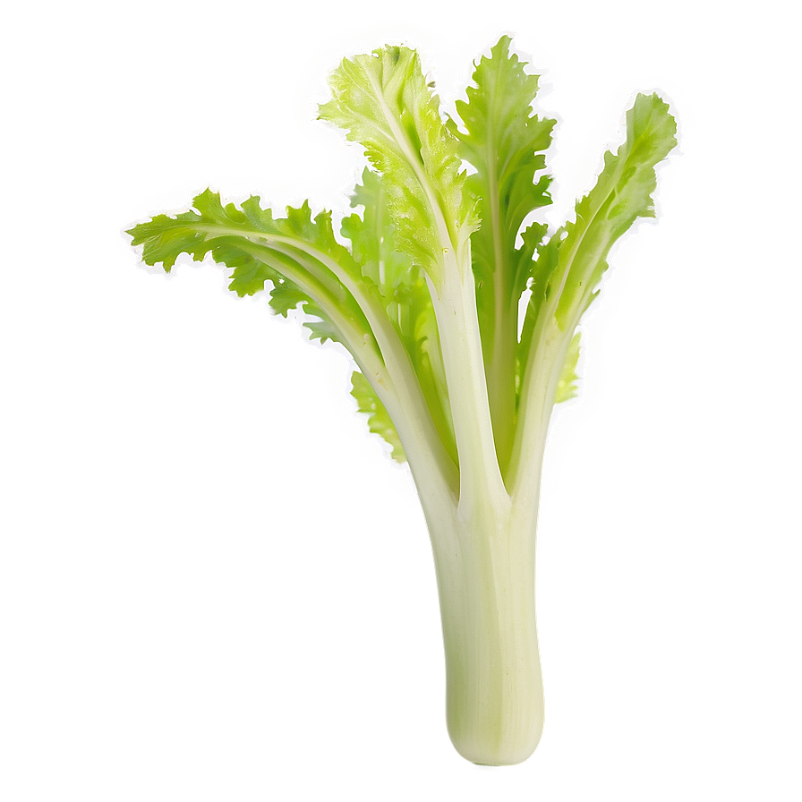 Washed Celery Png 06252024