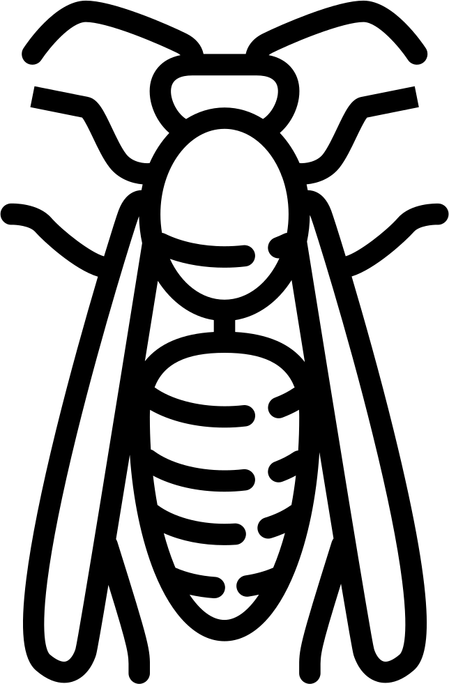 Wasp Icon Outline