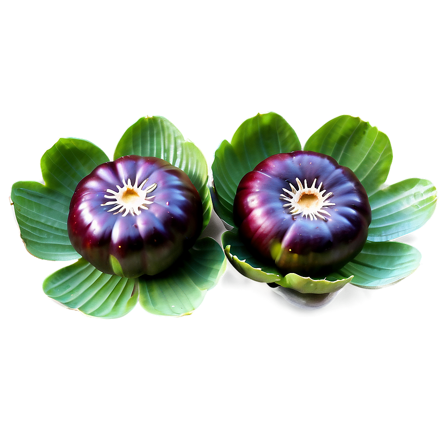 Water Chestnut Png 06122024