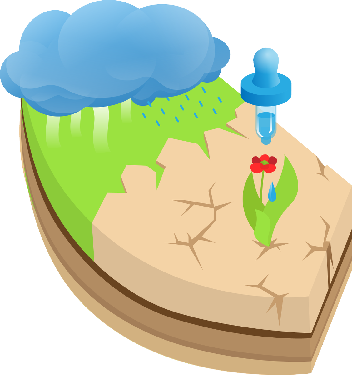 Water_ Cycle_and_ Plant_ Growth_ Illustration