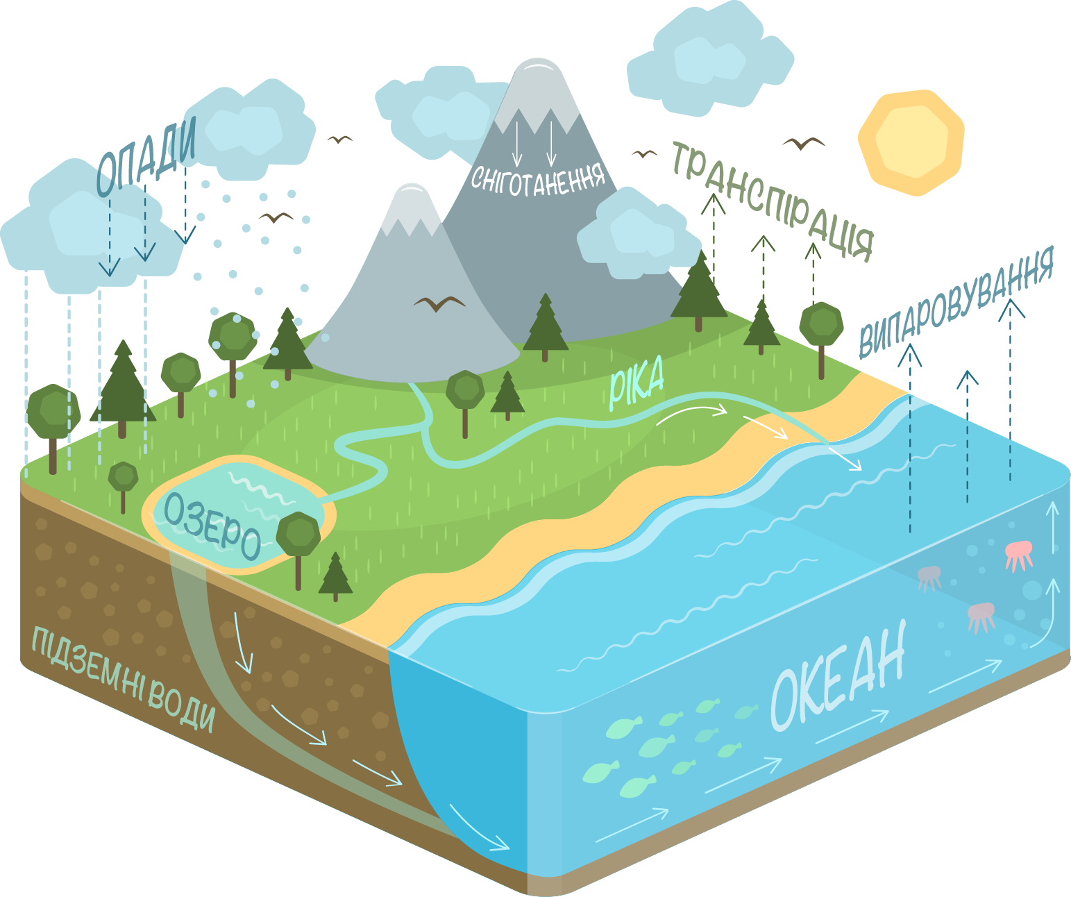 Water_ Cycle_ Illustration