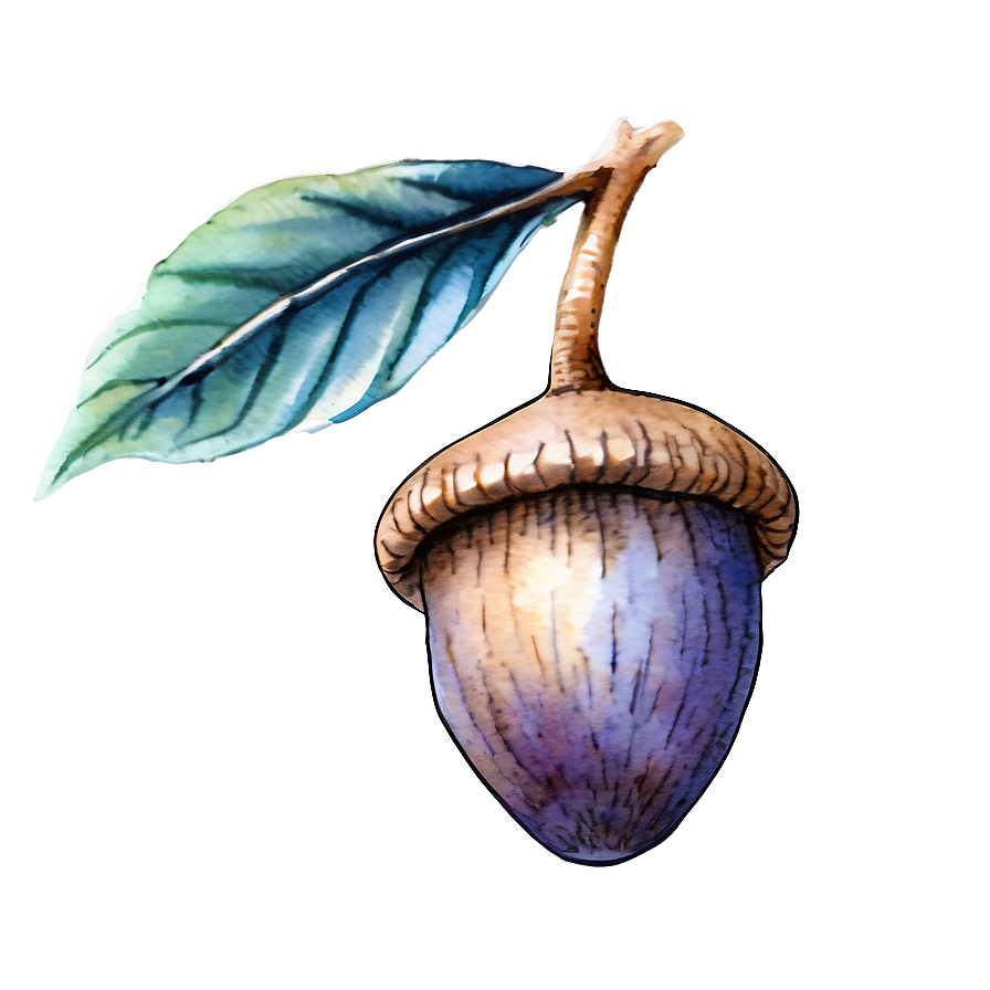 Watercolor Acorn Art Png 05252024