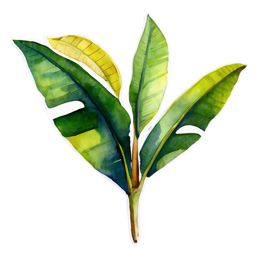 Watercolor Banana Leaf Png Brk45