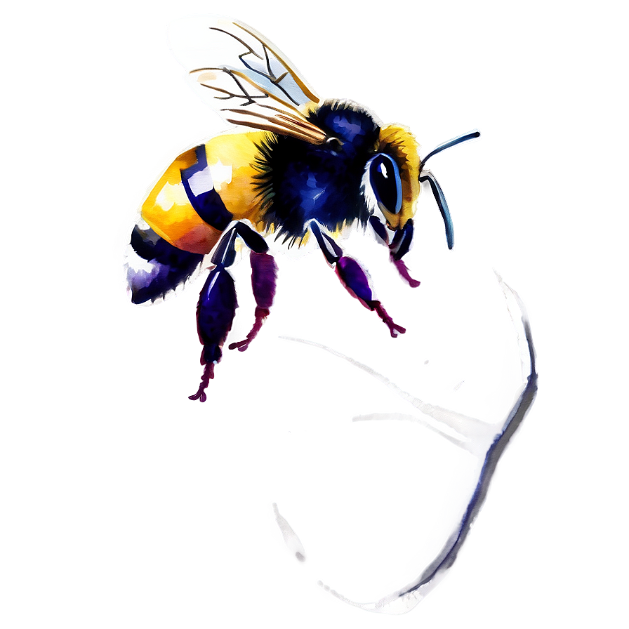 Watercolor Bee Png Etl64