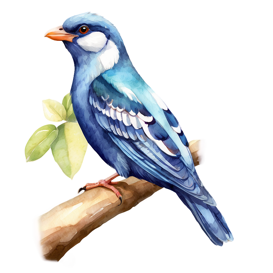 Watercolor Bird Species Png Vqm