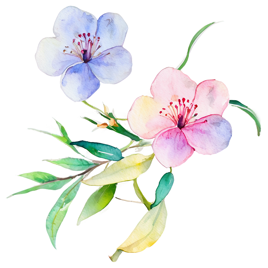 Watercolor Blossoms Clipart Png 60