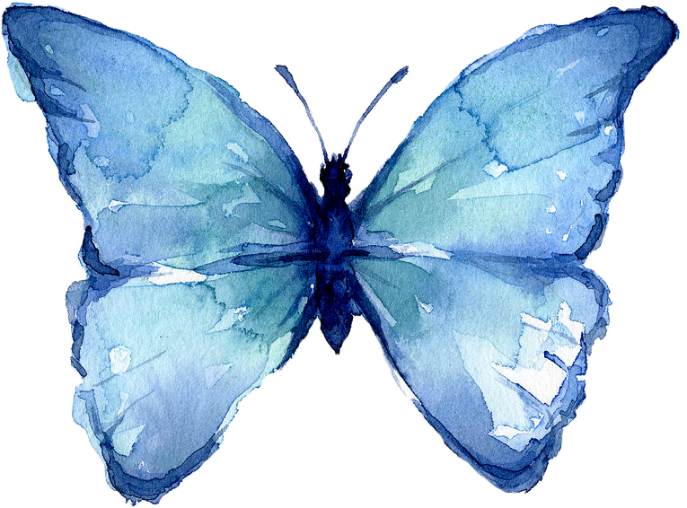 Watercolor Blue Butterfly Artwork