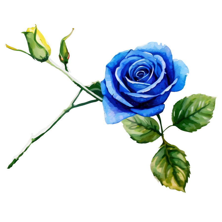 Watercolor Blue Rose Png 06202024