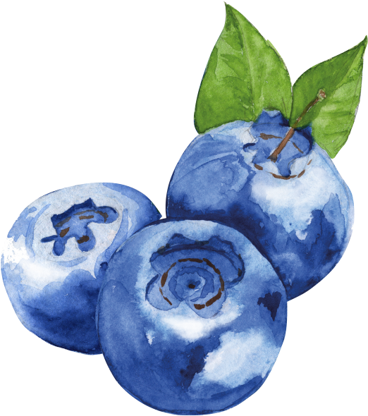 Watercolor Blueberries Artwork