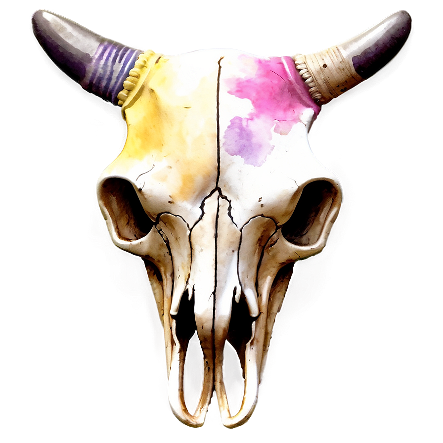 Watercolor Bull Skull Png 14