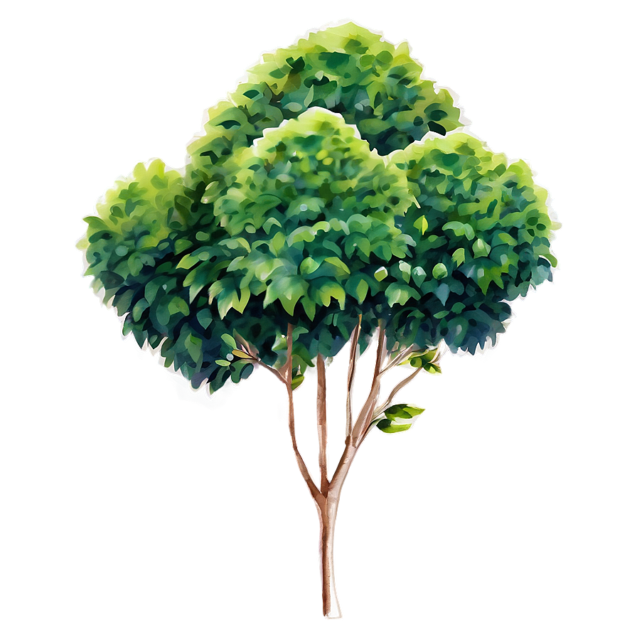 Watercolor Bush Png 17