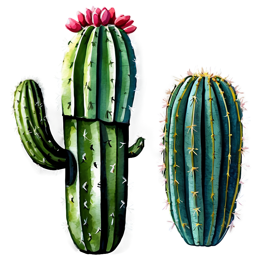 Watercolor Cactus Art Png 06282024