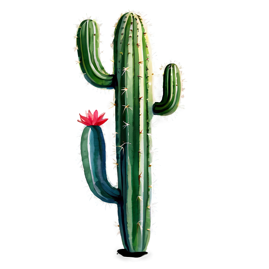 Watercolor Cactus Art Png 69