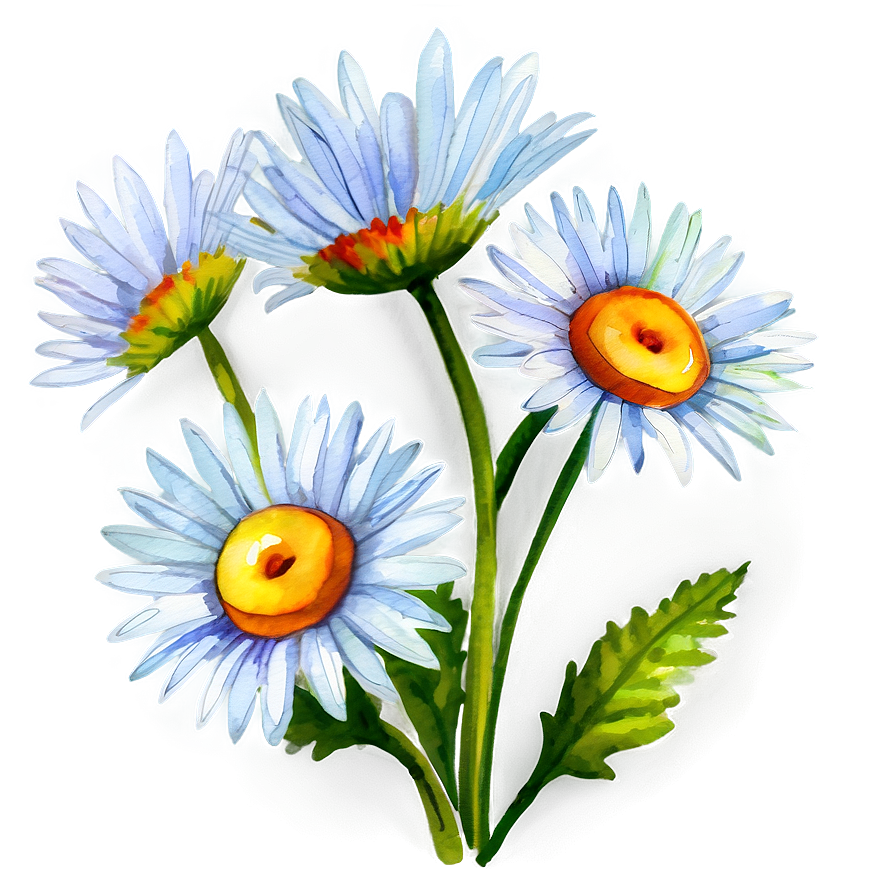 Watercolor Daisies Arrangement Png Vye