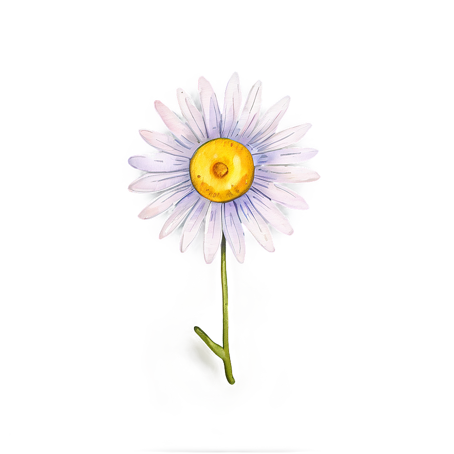 Watercolor Daisy Design Png Xph