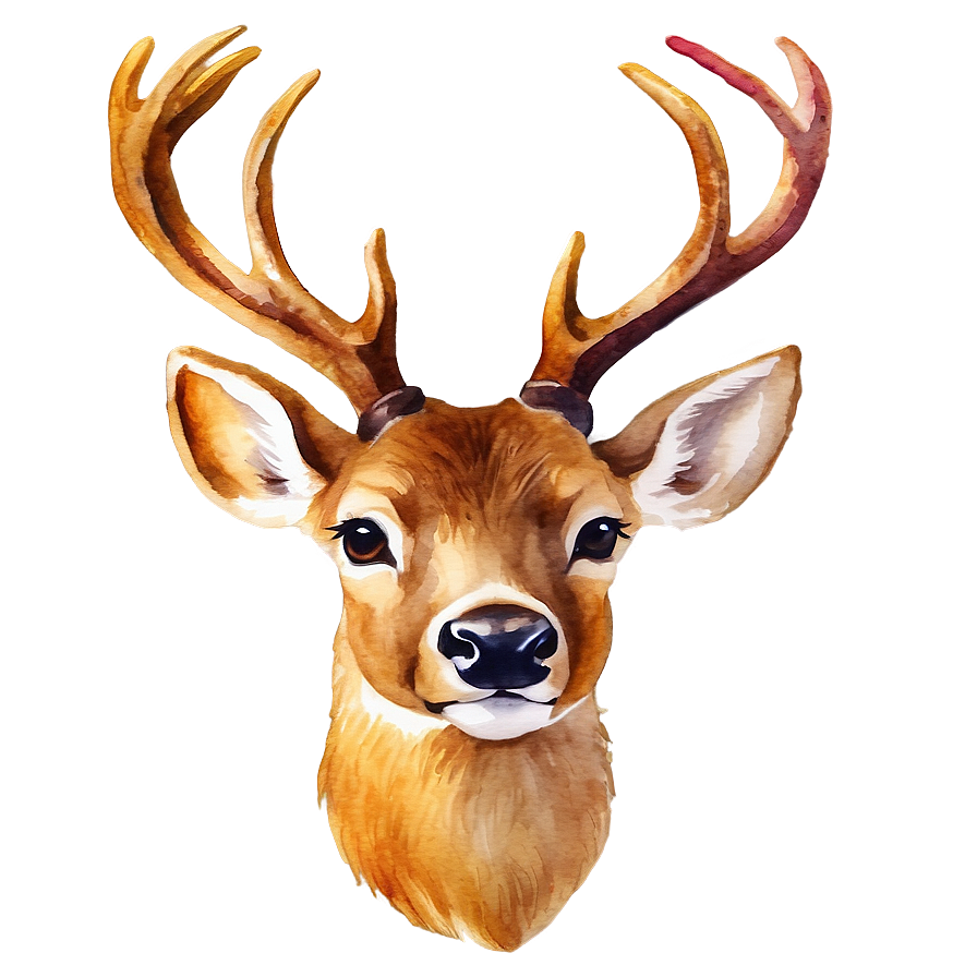 Watercolor Deer Head Painting Png Tbd7