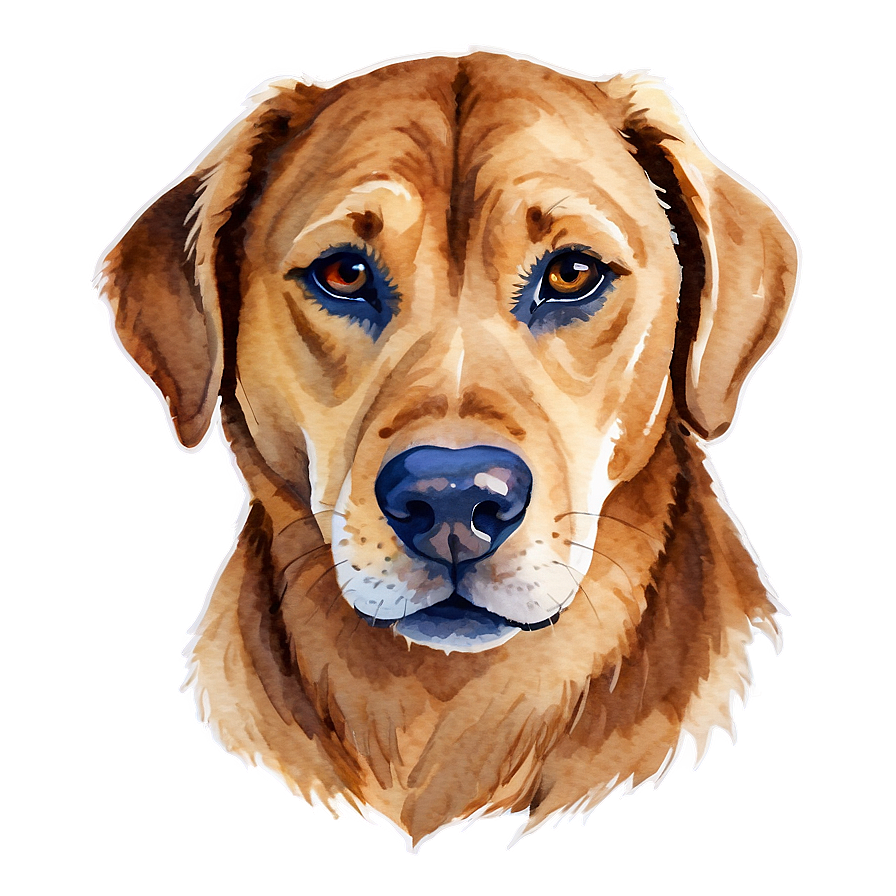 Watercolor Dog Head Art Png Daa