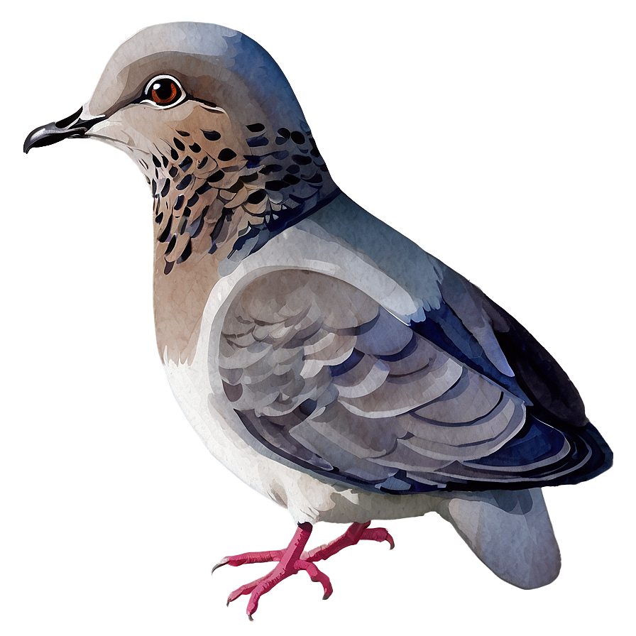 Watercolor Dove Png Cpi64