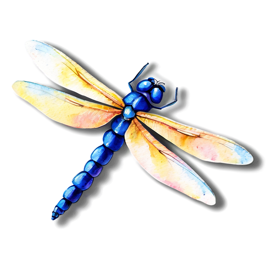 Watercolor Dragonfly Png 05212024