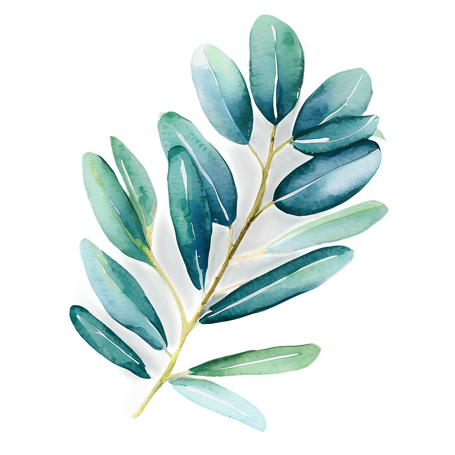 Watercolor Eucalyptus Leaves Png 05242024