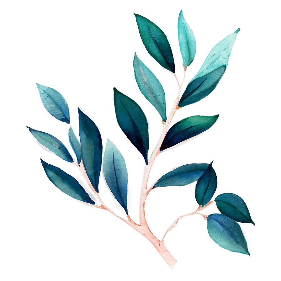 Watercolor Eucalyptus Leaves Png 33