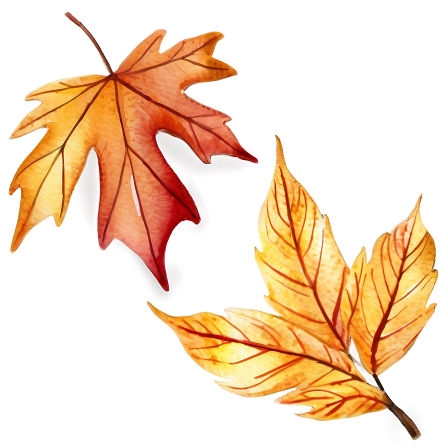 Watercolor Fall Leaves Png 87