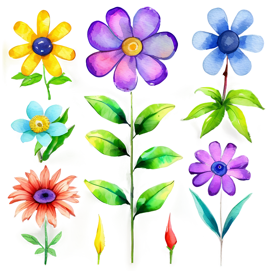 Watercolor Floral Clipart Png 05062024