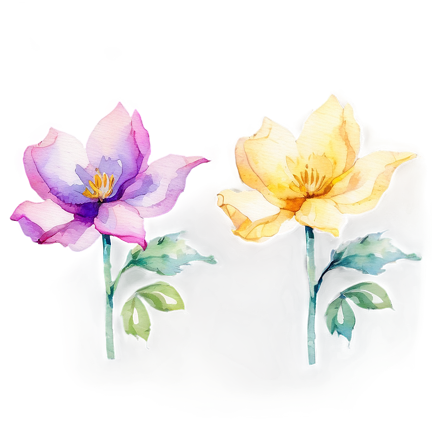 Watercolor Flower Bouquet Png Kyi