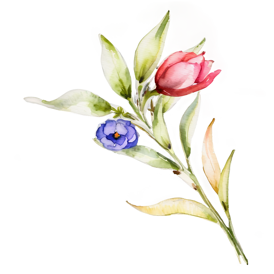 Watercolor Flower Stem Png 06132024